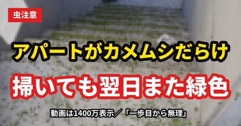 アパートの階段にカメムシが大量発生（モザイク加工）